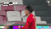 Point Up Sl Benfica GIF by Sport Lisboa e Benfica