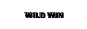 Go Team Win Sticker by Iowa Wild