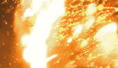Logo Forest GIF by Nickelodeon