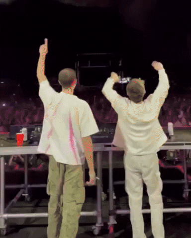Louis The Child Edm GIF