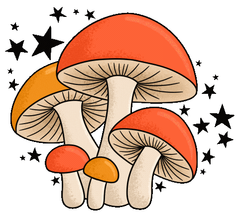 Red Orange Stars Sticker