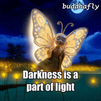 Fire Glow GIF by BuddhaFlyJourney
