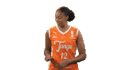 Basketball Sticker by Tango Bourges Basket