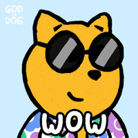 What The Wow GIF by God The Dog