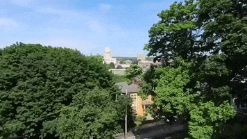 rhode island GIF