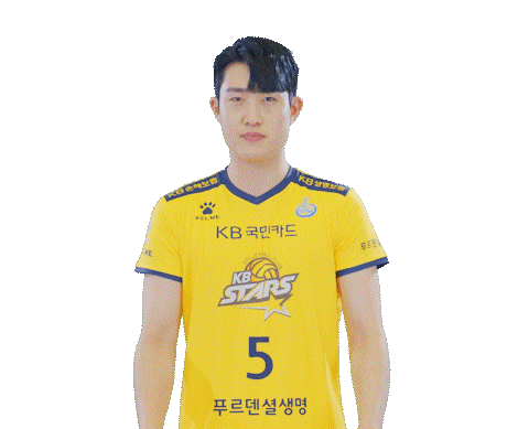 kbstarsvc giphyupload kb스타즈 kb스타즈배구단 스타즈 Sticker