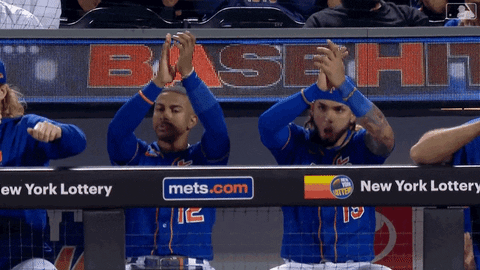 Happy Ny Mets GIF by New York Mets
