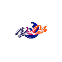Stereo Sticker by stereocittaradio
