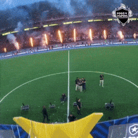 Nilton Santos Bfr GIF