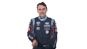 celebration car Sticker by FIA WTCR