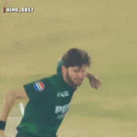 Lahore Qalandars Eagle GIF