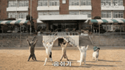 국민체조 GIF