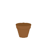 elixabetaduriz plant cactus cacti elixabet aduriz Sticker