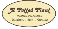 APOTTEDPLANT plant plants tropical succulent Sticker