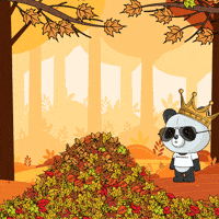 Happy Fall GIF by PandaPals