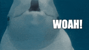 Wouah GIF