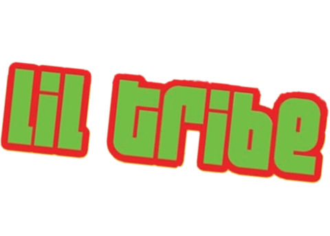 Camp Fcysummerfest Sticker by Free Chapel Youth OC