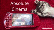 Wwe Kitty GIF