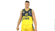 Ewe Baskets Basketball Sticker by EWE Baskets Oldenburg