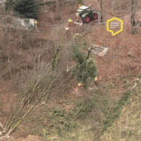 Police Omg GIF by Linz News