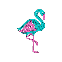 Kaid Oireachtas Sticker by KAID