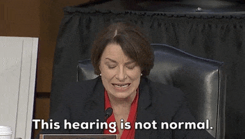 Amy Klobuchar GIF by GIPHY News