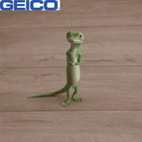 Wanna Go GIF by GEICO
