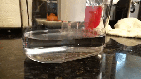 atomkeep giphygifmaker GIF