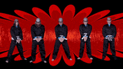 Music Video Fighting GIF by The Aquabats!