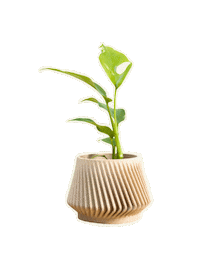 PLNTS_com plant plants interior plnts Sticker