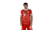 My Name Football Sticker by FC Bayern Munich