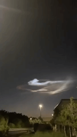 'Amazing' Pattern Spotted in Florida Sky Following SpaceX Launch