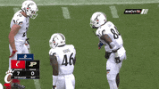Celebration Touchdown GIF by Cincinnati Bearcats