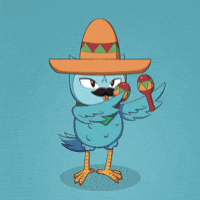 Dance Mexico GIF