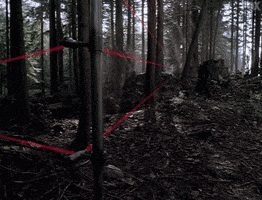 x files GIF by The X-Files