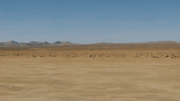 Soular GIF by Kyle Dion