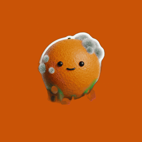 Orange Energy GIF