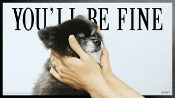 Video gif. Pomeranian's face is being massaged with two hands and it looks serene. Text, "You'll be fine."