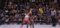 All Elite Wrestling GIF by AEWonTV