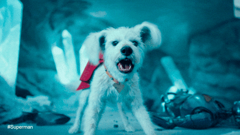 Nathan Fillion Dc GIF by Warner Bros. Pictures