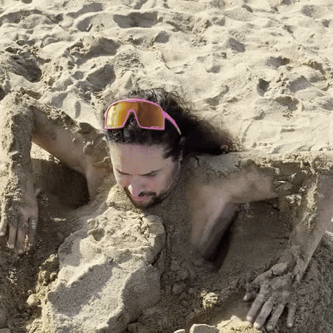 Goosify giphyupload happy get out stuck GIF