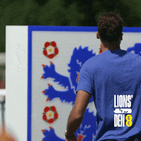 Three Lions Celebration GIF by EE