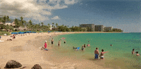 hawaii GIF