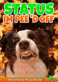 PetJuvenate  GIF