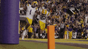 College Football GIF by LSU Tigers
