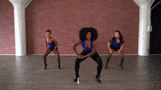 GIF by Hip Shake Fitness