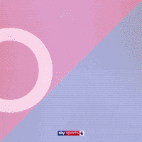 Goal Epl GIF by skysports