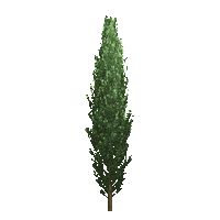 Steiermark Baum Sticker by Die Grazer Grünen