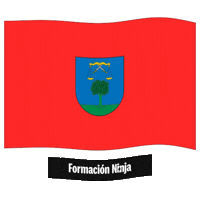 Flag Spain Sticker by Formación Ninja