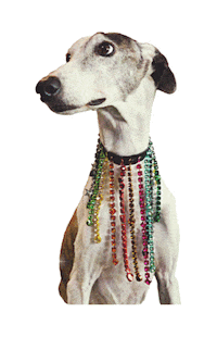 Feliz Navidad Dog Sticker by BIMBA Y LOLA